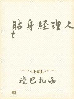 贴身经理人txt