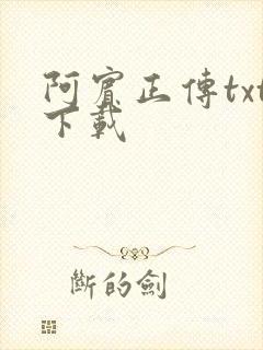 阿宾正传txt下载封面