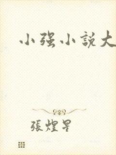 小强小说大全