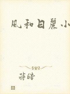 风和日丽小说