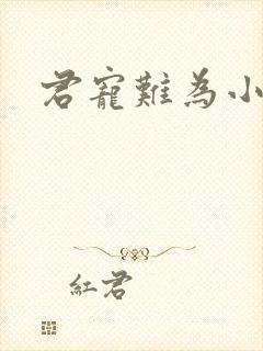 君宠难为小说