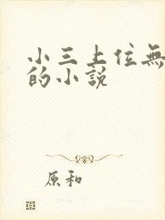 小三上位无三观的小说