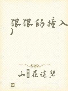 狠狠的撞入(h)