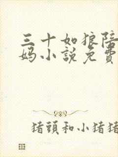 三十如狼陪读妈妈小说免费阅读