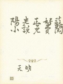 阳光正好苏玥玥小说免费阅读无弹窗