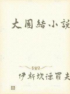 大团结小说阅读