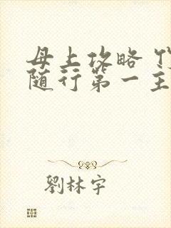 母上攻略 竹影随行第一主板