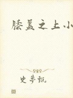 膝盖之上小说