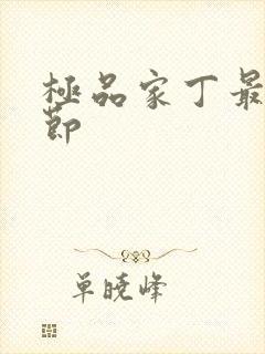 极品家丁最新章节封面