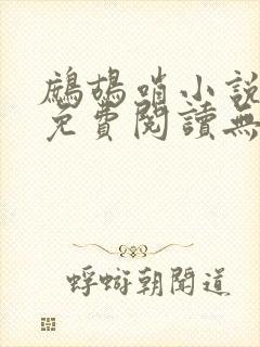 鹧鸪哨小说网站免费阅读无弹窗封面