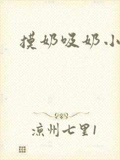 摸奶吸奶小说