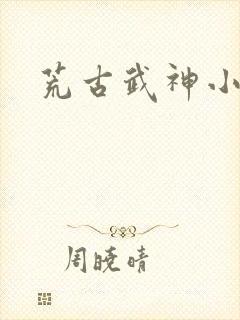 荒古武神小说