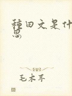 种田文是什么意思封面