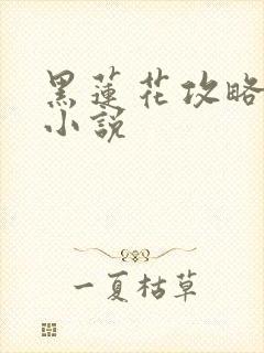 黑莲花攻略手册小说