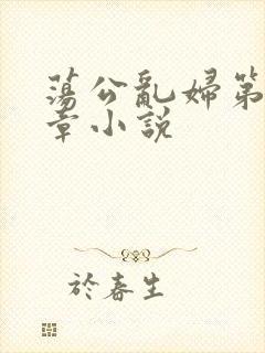 荡公乱妇第51章小说