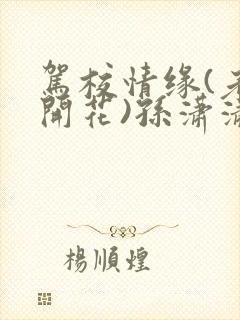 驾校情缘(老树开花)孙潇潇第一次趣笔阁