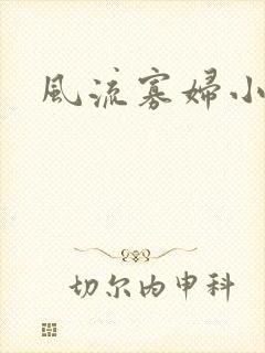 风流寡妇小说