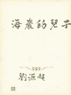 海岩的儿子