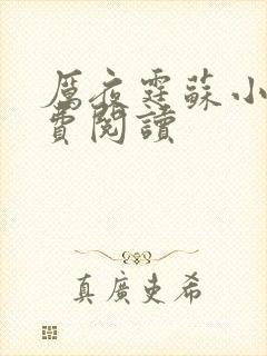 厉夜霆苏小汐免费阅读封面
