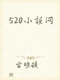 520小说网
