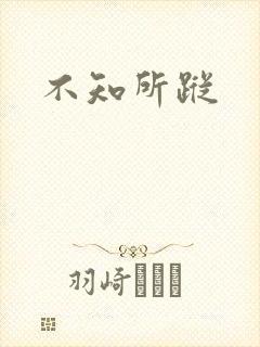 不知所踪封面