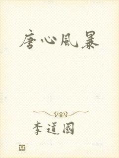 唐心风暴