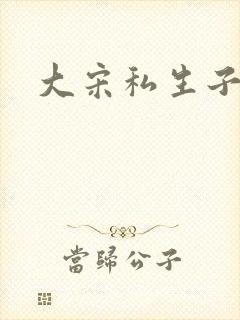 大宋私生子