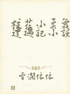 校花小柔舞蹈室遭遇记小说
