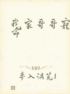 我家哥哥宠妹如命封面