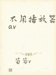 不用播放器的gav封面