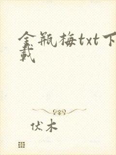 金瓶梅txt下载