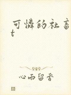可怜的社畜txt