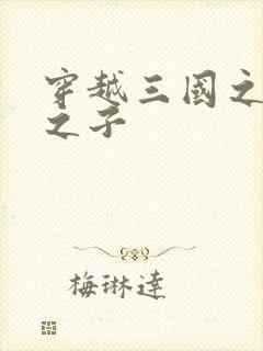 穿越三国之袁绍之子封面