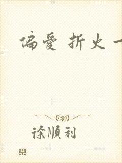 偏爱 折火一夏封面