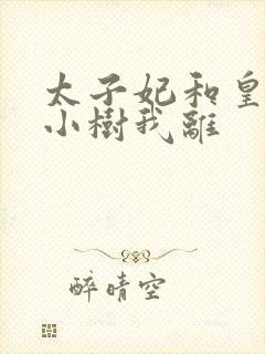 太子妃和皇上在小树我离封面