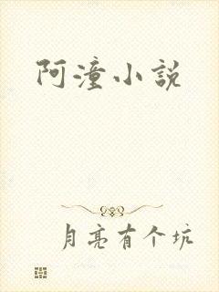 阿潼小说