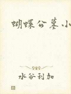 蝴蝶公墓小说封面