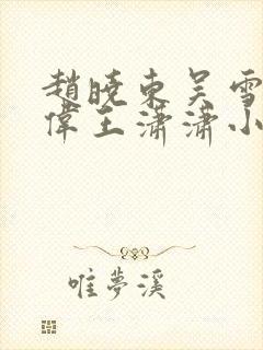 赵晓东吴雪晴郑伟王潇潇小说