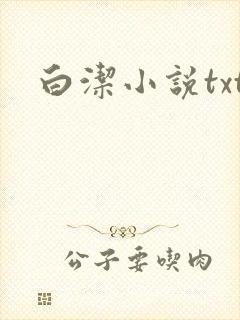白洁小说txt