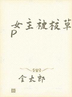 女主被校草们NP