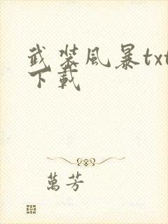 武装风暴txt下载封面