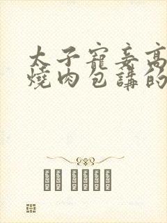 太子宠妾高肉红烧肉包讲的什么