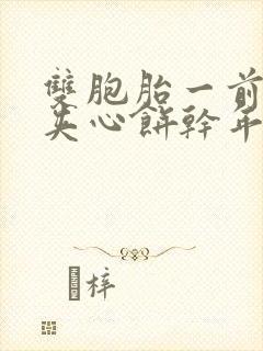 双胞胎一前一后夹心饼干年下