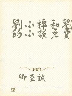 刘小棉和刘易文的小说免费阅读