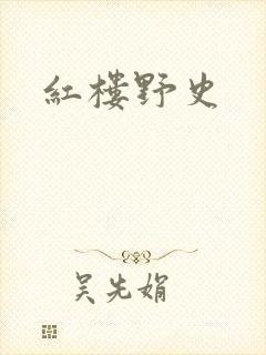 红楼野史