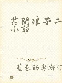 花间浪子二十部小说