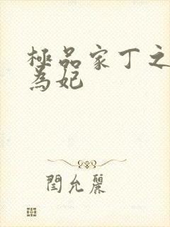 极品家丁之册母为妃封面