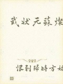 武状元苏灿