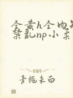 全黄h全肉短篇禁乱np小柔