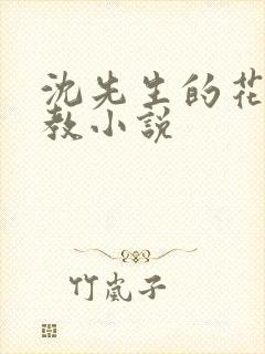 沈先生的花式调教小说封面